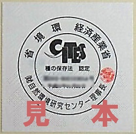 特定交際種事業届済です